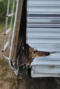 Affordable RV Roof Coating